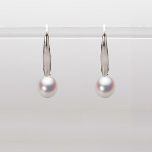 p[ sAX tbN ^ 6.0mm AR ^ sAX K18WG zCgS[h fB[X HA00060D11WPN716W0 [[x Moon Label