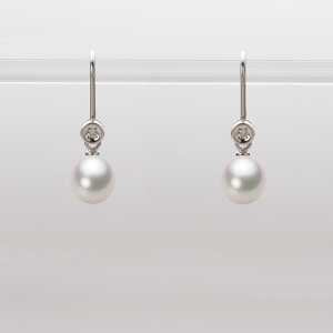 p[ sAX tbN ^ 6.0mm AR ^ sAX K18WG zCgS[h fB[X HA00060D13WPG885W0 [[x Moon Label