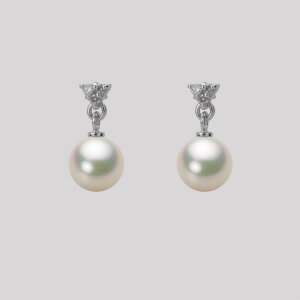 p[ sAX ^ 6.5mm AR ^ sAX K18WG zCgS[h fB[X HA00065R12CW0617W0 [[x Moon Label