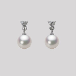 p[ sAX ^ 6.5mm AR ^ sAX K18WG zCgS[h fB[X HA00065R12WPG617W0 [[x Moon Label