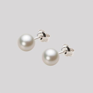 p[ sAX ^ 6.5mm AR ^ sAX Pt900 v`i fB[X HA00065R13CW0PA04P [[x Moon Label
