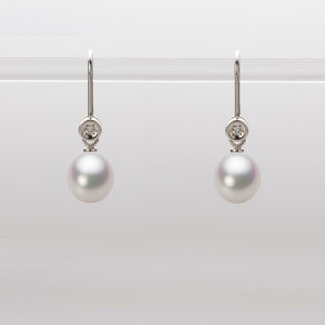 p[ sAX tbN ^ 6.5mm AR ^ sAX K18WG zCgS[h fB[X HA00065D12WPG885W0 [[x Moon Label