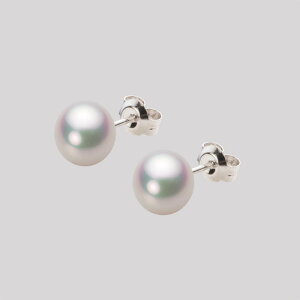 p[ sAX ^ 7.0mm AR ^ sAX Pt900 v`i fB[X HA00070B11WPGPA04P [[x Moon Label