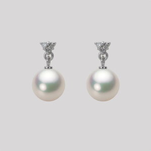 p[ sAX ^ 7.5mm AR ^ sAX K18WG zCgS[h fB[X HA00075R11CW0617W0 [[x Moon Label