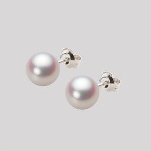 p[ sAX ^ 7.5mm AR ^ sAX Pt900 v`i fB[X HA00075R11WPNPA04P [[x Moon Label