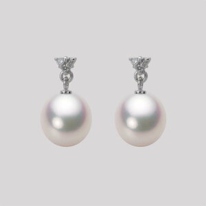 p[ sAX ^ 8.5mm AR ^ sAX K18WG zCgS[h fB[X HA00085D11WPG617W0 [[x Moon Label