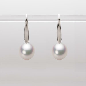 p[ sAX tbN ^ 8.5mm AR ^ sAX K18WG zCgS[h fB[X HA00085D11WPG716W0 [[x Moon Label