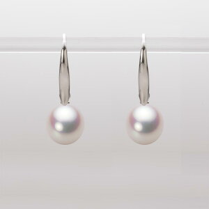 p[ sAX tbN ^ 8.5mm AR ^ sAX K18WG zCgS[h fB[X HA00085D11WPN716W0 [[x Moon Label