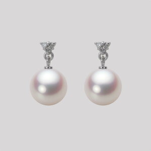 p[ sAX ^ 8.5mm AR ^ sAX K18WG zCgS[h fB[X HA00085R12WPN617W0 [[x Moon Label
