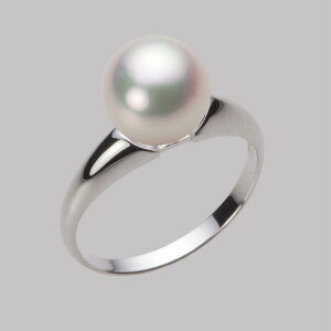 p[ O w ^ 9.0mm AR ^ O PT900 v`i fB[X HA00090R12WPGR02P9 [[x Moon Label