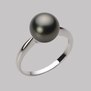 ubN p[ O w 9mm  ^ O PT900 v`i fB[X NB00009R13PC0R01P9 [[x Moon Label