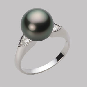 ubN p[ O w 10mm  ^ O PT900 v`i fB[X NB00010R11PC0D01P0 [[x Moon Label