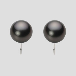 y|Cg10{z ubN p[ CO 10mm  ^ CO PT900 v`i fB[X NB00010R12BK0Y09P0 [[x Moon Label