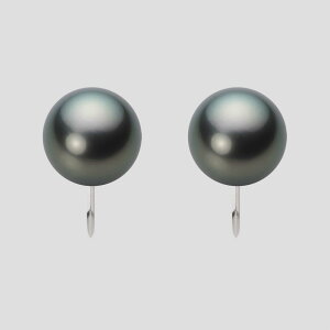 ubN p[ CO 10mm  ^ CO PT900 v`i fB[X NB00010R12DG0Y09P0 [[x Moon Label