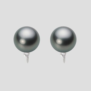 y|Cg10{z ubN p[ CO 10mm  ^ CO K18WG zCgS[h 18 fB[X NB00010R13DG0635WM [[x Moon Label