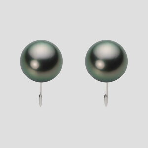 ubN p[ CO 10mm  ^ CO PT900 v`i fB[X NB00010R21DG0Y09P0 [[x Moon Label