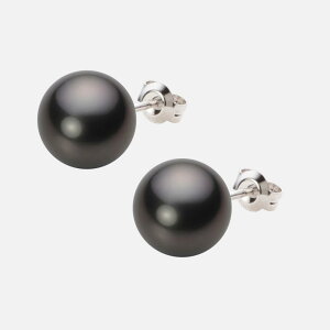 ubN p[ sAX 10mm  ^ sAX PT900 v`i fB[X NB00010R22BK0PA08P [[x Moon Label