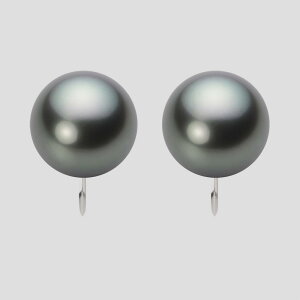 y|Cg10{z ubN p[ CO 12mm  ^ CO PT900 v`i fB[X NB00012R13DG0Y09P0 [[x Moon Label