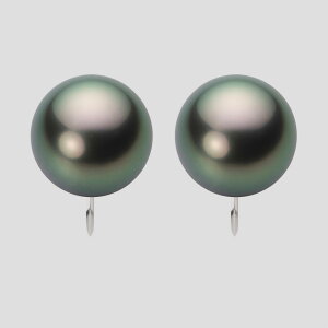 ubN p[ CO 12mm  ^ CO PT900 v`i fB[X NB00012R21PC0Y09P0 [[x Moon Label