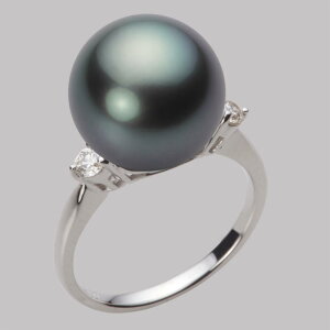 ubN p[ O w 13mm  ^ O PT900 v`i fB[X NB00013R12DG0D02P3 [[x Moon Label