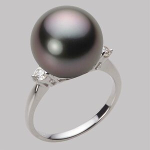 ubN p[ O w 13mm  ^ O PT900 v`i fB[X NB00013R13RB0D02P3 [[x Moon Label