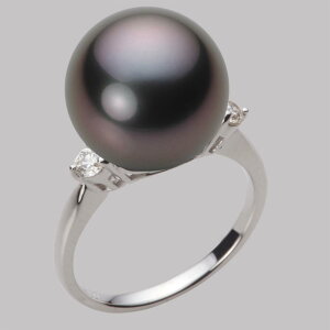 ubN p[ O w 13mm  ^ O PT900 v`i fB[X NB00013R22BK0D02P3 [[x Moon Label