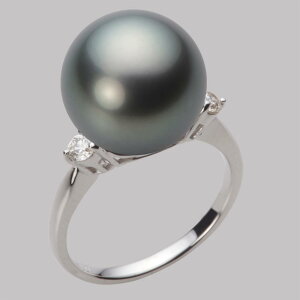 ubN p[ O w 13mm  ^ O PT900 v`i fB[X NB00013R23DG0D02P3 [[x Moon Label