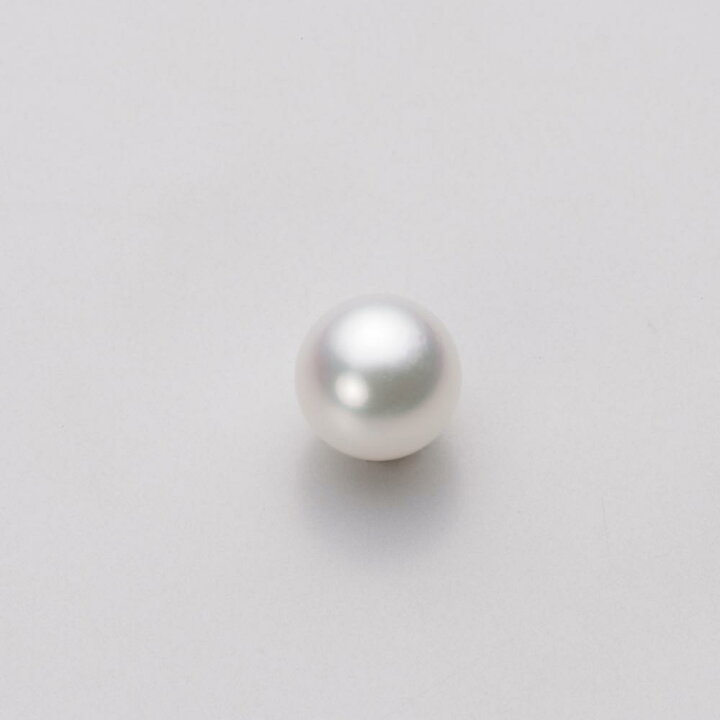 楽天市場】パール ピアス あこや真珠 6.5mm アコヤ 真珠 ピアス K14WG 