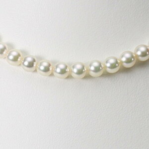 p[ lbNX ^ 6.5mm AR ^ p[ lbNX fB[X CA00065O33CW000000 [[x Moon Label