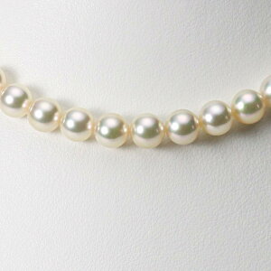 p[ lbNX ^ 7.5mm AR ^ p[ lbNX fB[X CA00075R12CG000000 [[x Moon Label