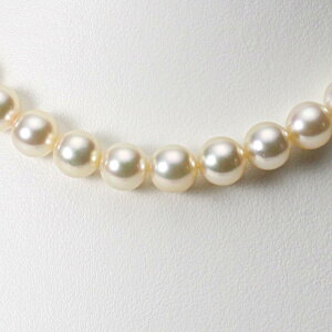 p[ lbNX ^ 8.5mm AR ^ p[ lbNX fB[X CA00085R12CG000000 [[x Moon Label