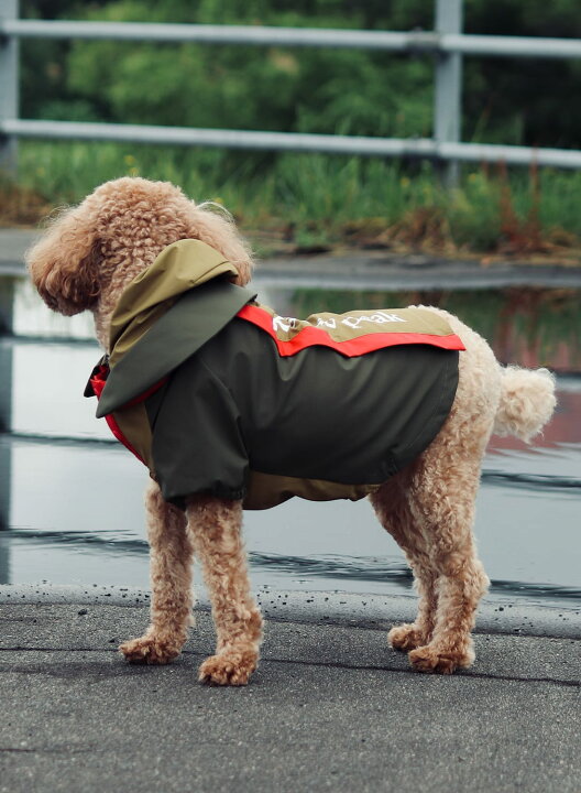 楽天市場】スノーピーク snow peak snowpeak SP Dog Rain Guard ドッグ 