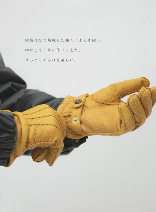 楽天市場】DENTS ペッカリー Hampton グローブ カシミヤ ライニング 