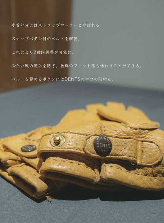 楽天市場】DENTS ペッカリー Hampton グローブ カシミヤ ライニング 
