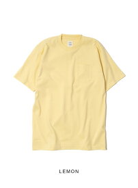 【6%OFFクーポン対象】【返品交換送料無料】アナトミカ ポケT ポケTEE 半袖 Tシャツ 白T 無地 カットソー メンズ レディース ANATOMICA MADE IN JAPAN 日本製