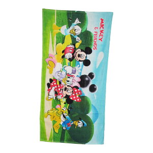 大判 バスタオル ディズニーの人気商品 通販 価格比較 価格 Com