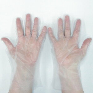 ĝĎ CPE|G{X 1200x1 OS-GLCPN-3 LTCY i`ij/ikCꗣj