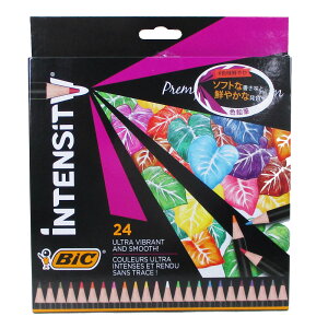 FM Intensity 24F BicWp ITS-WDCCPPK24/1325x1
