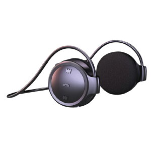 [ u[gD[X I[fBIV[o[MP3vC[ BluetoothCtH TEh2 Libra LBR-K31/6083