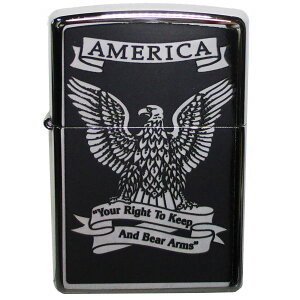 iꗣjWb|[ ICC^[ USA your right to keep and bear arms ێێ錠 28290