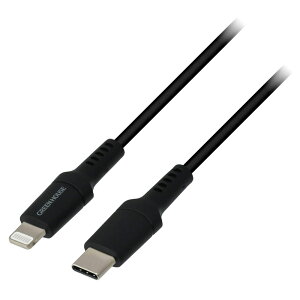 ikCꗣjCgjOP[u Lightning-TypeCP[u O[nEX 1[g ubN GH-ALTCA100-BK/5430x1{