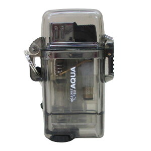 ikCꗣj^[{C^[ ANA AQUA  Aɋ 2Nۏ cCCg ubNx1{