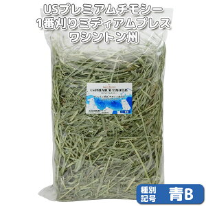 wq̕ȂxIX[p[v~A`V[1Ԋ ~fBAvX VgByBz 500g×1 (bgNo.B-0007) yԕi敪AzIWiq  bg ``