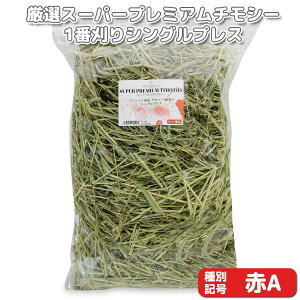 wq̕ȂxIX[p[v~A`V[1Ԋq VOvX yAz 500g×1 (bgNo.A-0009) yԕi敪AzIWiq  bg ``