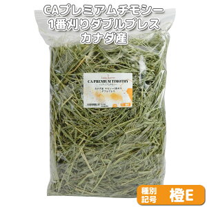 wq̕ȂxCAv~A`V[1Ԋ _uvX Ji_YyEz 500g×1 (bgNo.E-0004) yԕi敪AzIWiq  bg ``