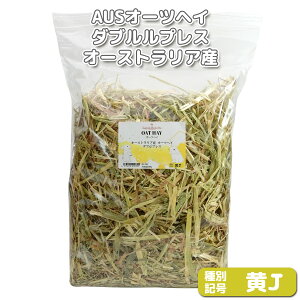 wq̕ȂxAUSI[cփC _uvX yJz 500g×1 (bgNo.J-0002) yԕi敪AzIWiq  bg ``