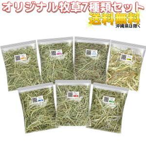 yXIWiq50g X 7ރZbgz `V[ 1ԊE2Ԋ VOvXE~fBAvXE_uvX VgBEAC_zBEJi_YEI[XgAY 