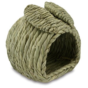  ynEXySTCYz yԕi敪Bz