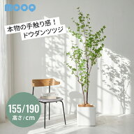 フェイクグリーン 大型 大きい 150cm 190cm ドウダンツツジ 人工観葉植物 造花 フェイク リアル インテリ…