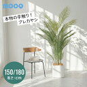 プレミアム フェイクグリーン 大型 大きい 150cm 180cm アレカヤシ 観葉植物 人工観葉植物 造花 フェイク リアル イン…